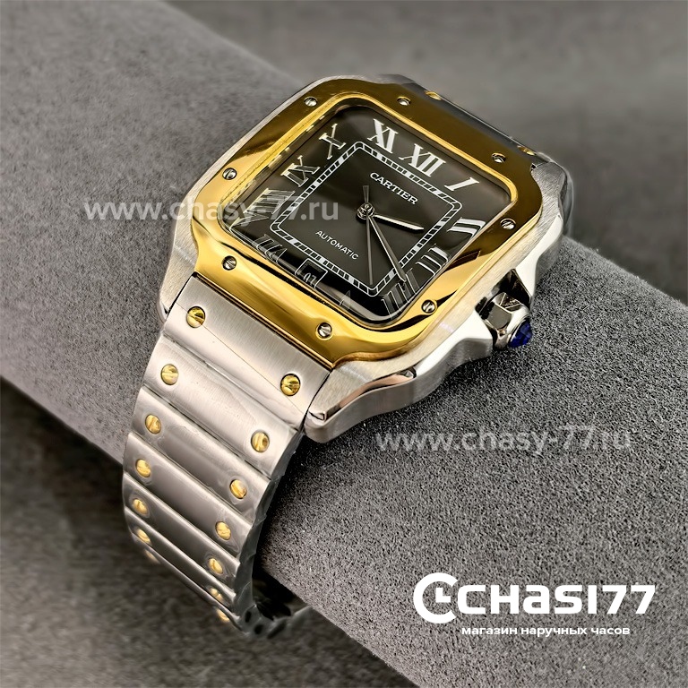 Cartier Santos Dumont (24242)