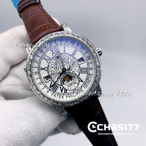 Patek Philippe Men Grand Complications Sky Moon (13614)