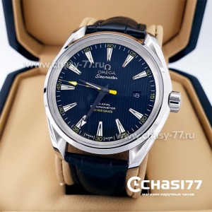 Omega Seamaster Aqua Terra (10025)