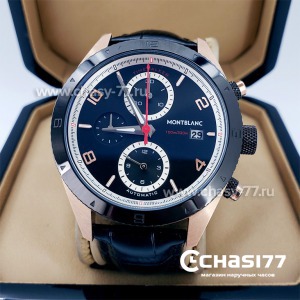 Montblanc TimeWalker (15029)