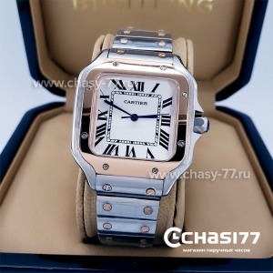 Cartier Santos Dumont (18038)