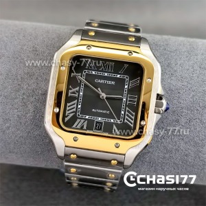 Cartier Santos Dumont (24242)