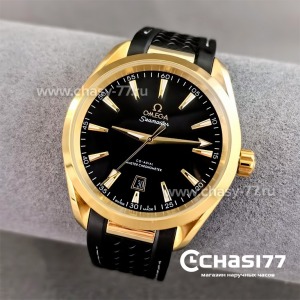 Omega Seamaster Aqua Terra (24143)