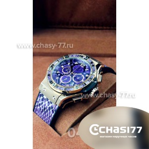 Hublot (05946)