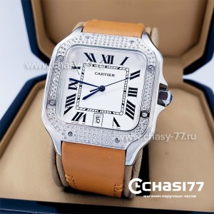Cartier Santos Dumont (12150)