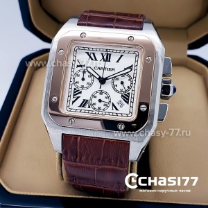Cartier Santos Dumont (14352)