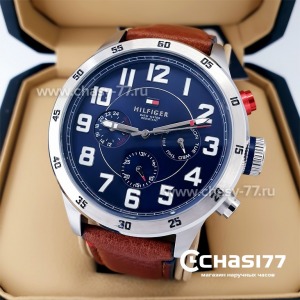 Tommy Hilfiger (21255)