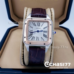Cartier Santos Dumont (18057)