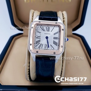 Cartier Santos Dumont (18058)
