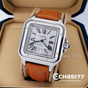 Cartier Santos (20660)