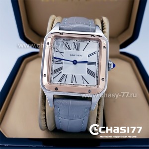 Cartier Santos Dumont (18060)