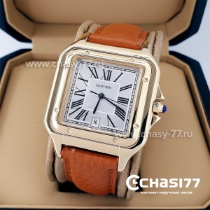 Cartier Santos (20661)