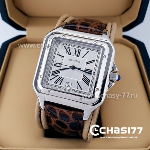 Cartier Santos (20662)