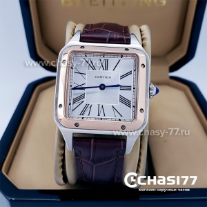 Cartier Santos Dumont (18062)