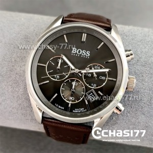 HUGO BOSS (24363)
