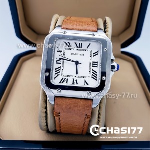 Cartier Santos Dumont (18064)