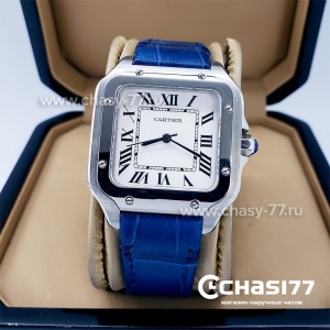 Cartier Santos Dumont (18065)