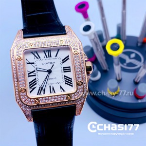 Cartier Santos Dumont (15367)
