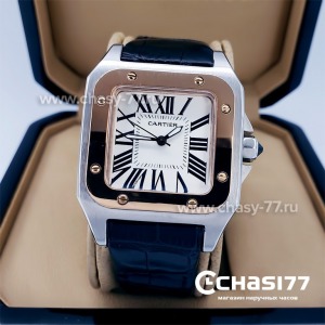 Cartier Santos Dumont (17985)