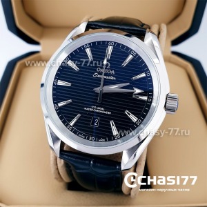 Omega Seamaster Aqua Terra (09587)