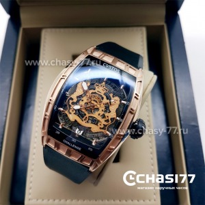 Cvstos Challenge (06390)