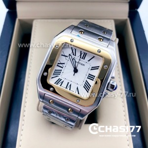 Cartier Santos Dumont (05795)