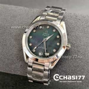 Omega Seamaster Aqua Terra (25099)